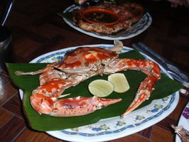 Krab k večeři ... | Malaysia - Tioman I. - 19.-20.8.2010